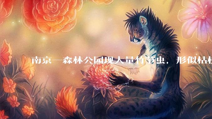南京一森林公园现大量竹节虫，形似枯枝，网友称凑近才发现是虫子落荒而逃，竹节虫会不会咬人？碰到它会怎样？