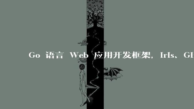 Go 语言 Web 应用开发框架，Iris、Gin、Echo，哪一个更适合大型项目？