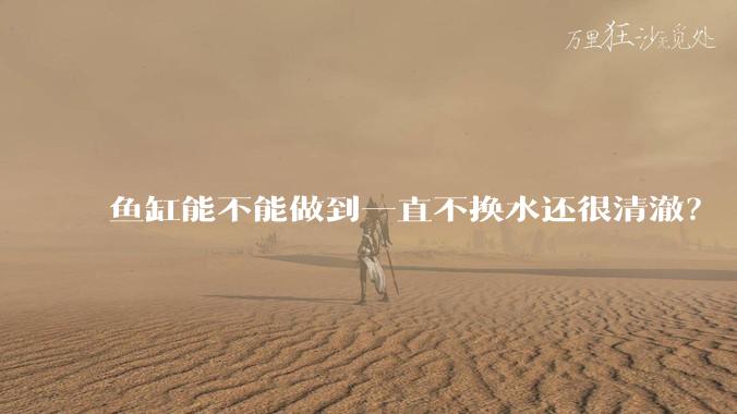 鱼缸能不能做到一直不换水还很清澈？