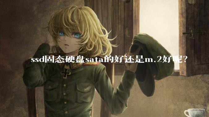 ssd固态硬盘sata的好还是m.2好呢？