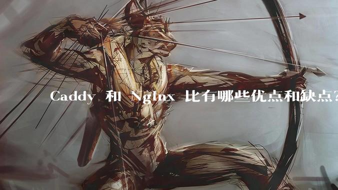 Caddy 和 Nginx 比有哪些优点和缺点？
