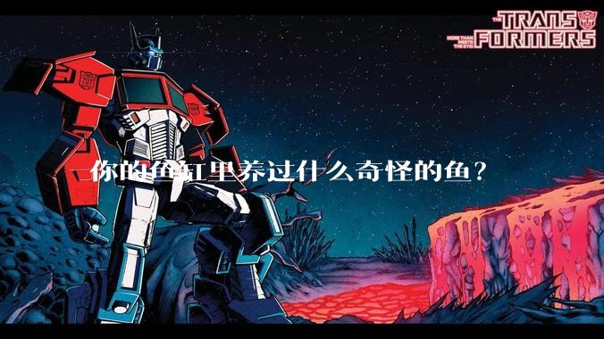 你的鱼缸里养过什么奇怪的鱼？